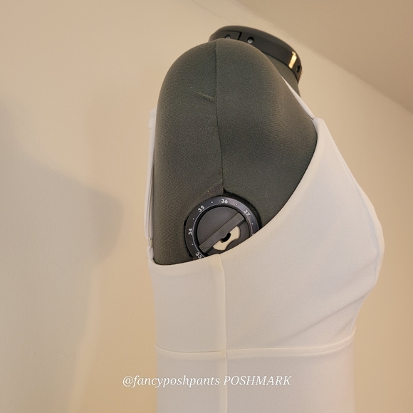 EXPRESS fully lined, structured, hidden zipper adjustable quality strap dress - Picture 7 of 16